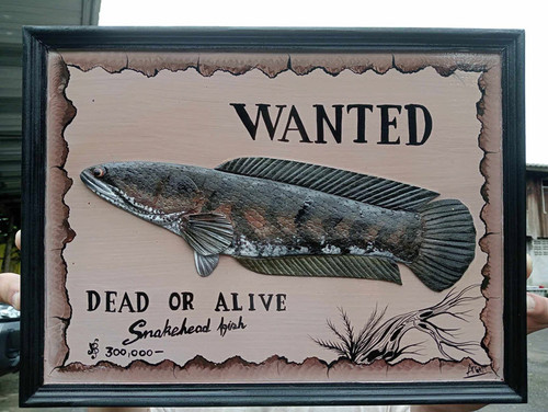 376692364 2512634645588233 7590177070524092793 n.jpg