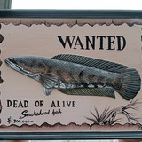 376692364 2512634645588233 7590177070524092793 n