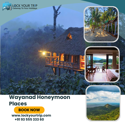 wayanad honeymoon places.png