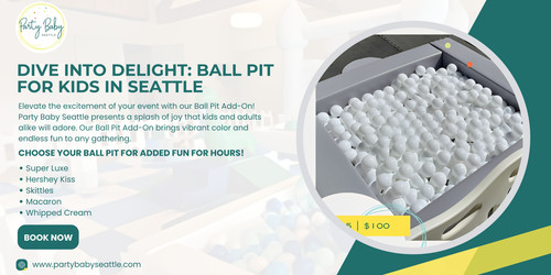 Dive into Delight Ball Pit for Kids in Seattle.jpg