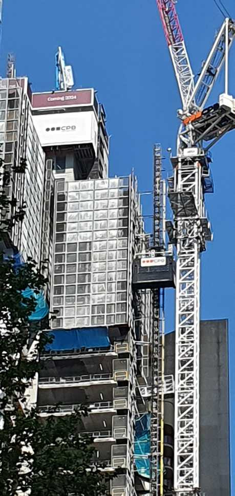 377926535 1498154747623550 1630892438792282204 n.jpg