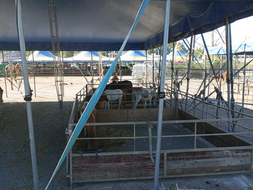 IMG 20230910 101334.jpg