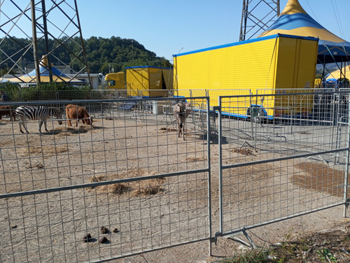 IMG 20230910 101409.jpg