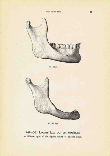 99893101 8062 496C AAF1 55E90D62948A.jpg