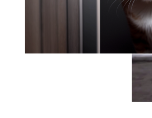 46273d5f97b1.png