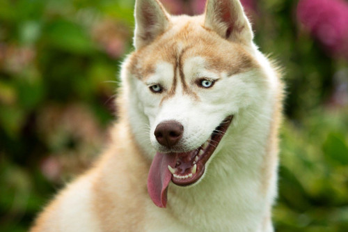 1665041029682 main.jpg