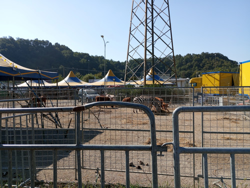 IMG 20230910 101153.jpg