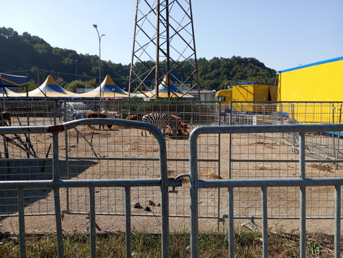 IMG 20230910 101152.jpg