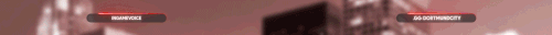 BANNER FIVEM 1.gif