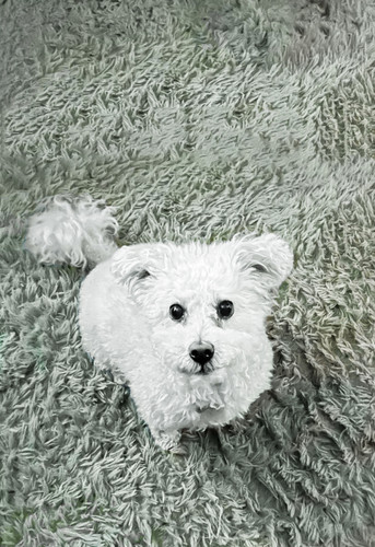 hf5waciqpmnb1 copy.jpg