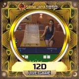12d.gif