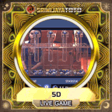 5d.gif