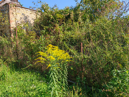 IMG 20230911 150503.jpg