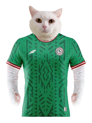 zbcndi4urlnb1 copy.jpg