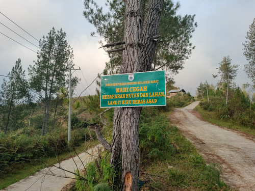 WhatsApp Image 2023 09 06 at 07.55.01.jpg