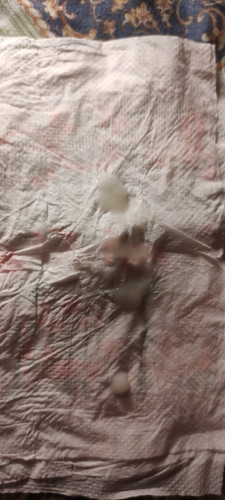 IMG 20230910 042819.jpg