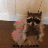 C3360E66 C503 4A4E B36E ADB4AA39ED6B.gif