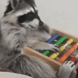 25D63525 5AAE 43C9 84F5 9F58505C836D.gif