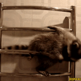 46046E37 D45D 4467 B74D D830CF852610.gif