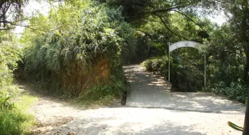 00011 獅球嶺砲台.webp