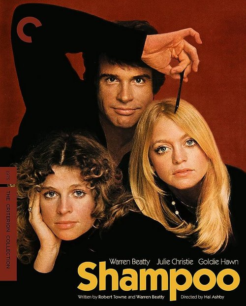 Szampon / Shampoo (1975) PL.1080p.BDRip.H264-wasik / Lektor PL