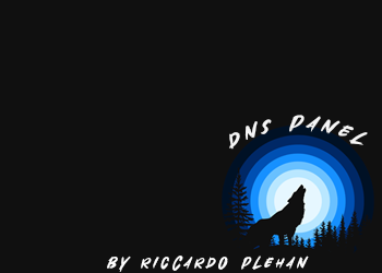 dns.png