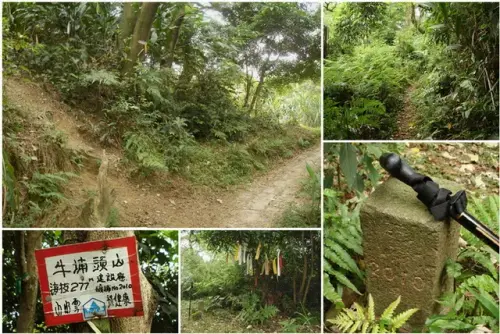 009 牛埔頭山.webp