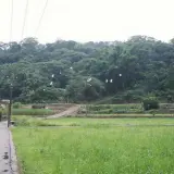00011 三坑老街