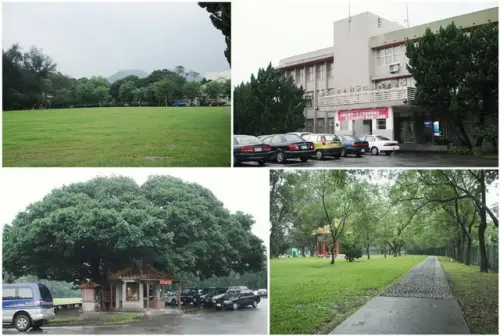 00012 石管局大草坪.webp