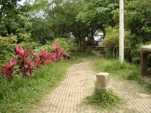 019 南勢角山.webp