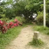019 南勢角山