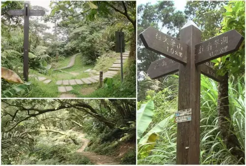 014 山中湖叉路.webp