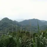 020 回望五城山