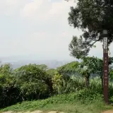 017 文筆山