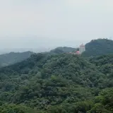 008 遙望金龍寶塔