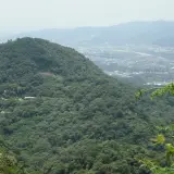 010 遙望南天母山
