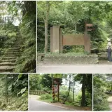006 天上山步道