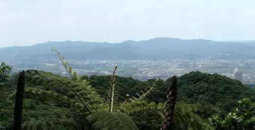 013 遙望大漢溪.webp