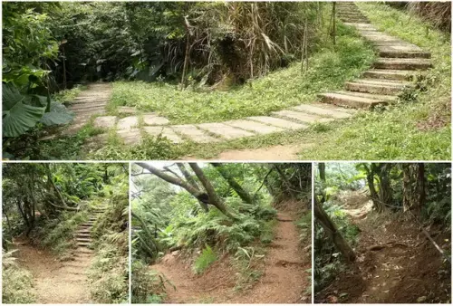 016 文筆山步道.webp