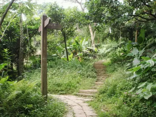 018 圓通寺步道通往五尖山叉路.webp