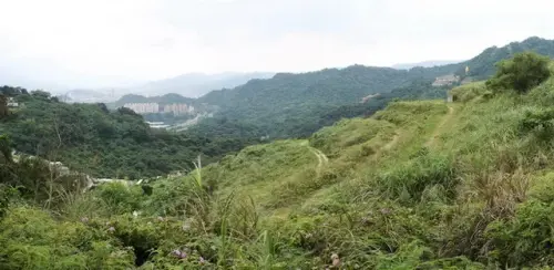 014 圓通寺步道.webp