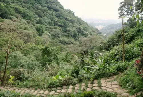 020 朱財華紀念步道.webp