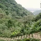020 朱財華紀念步道