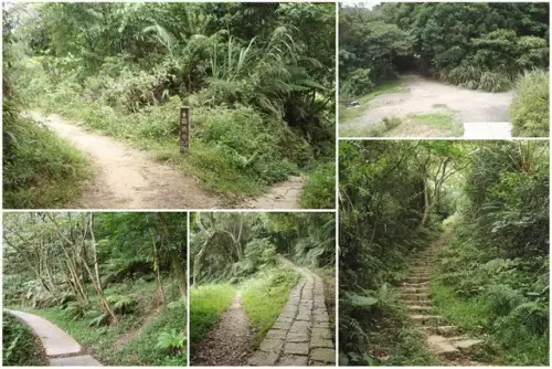 016 圓通寺步道.webp