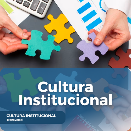 Cultura Institucional.png