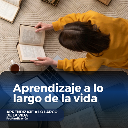 Aprendizaje a lo largo de la vida