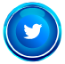 twitter icon.png