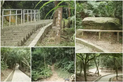 00017 大崙尾山步道.webp