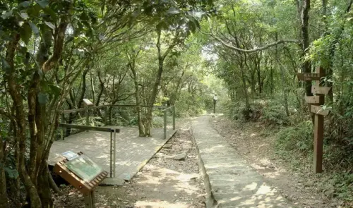 00006 大崙頭山步道.webp
