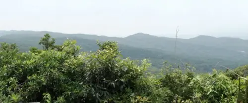 00008 大崙頭山眺望五指山.webp